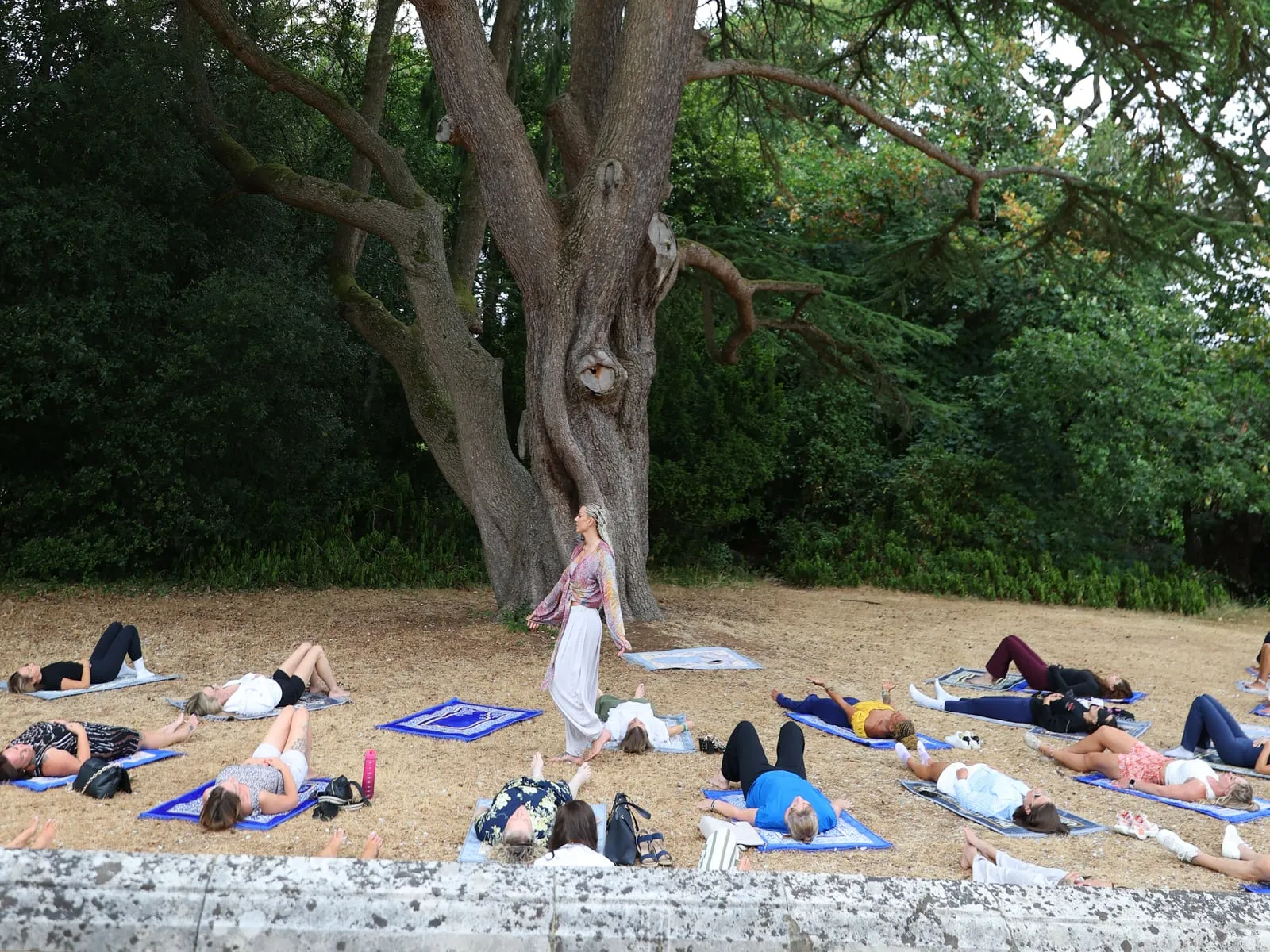 A guided breathwork session on mats under a cedar tree